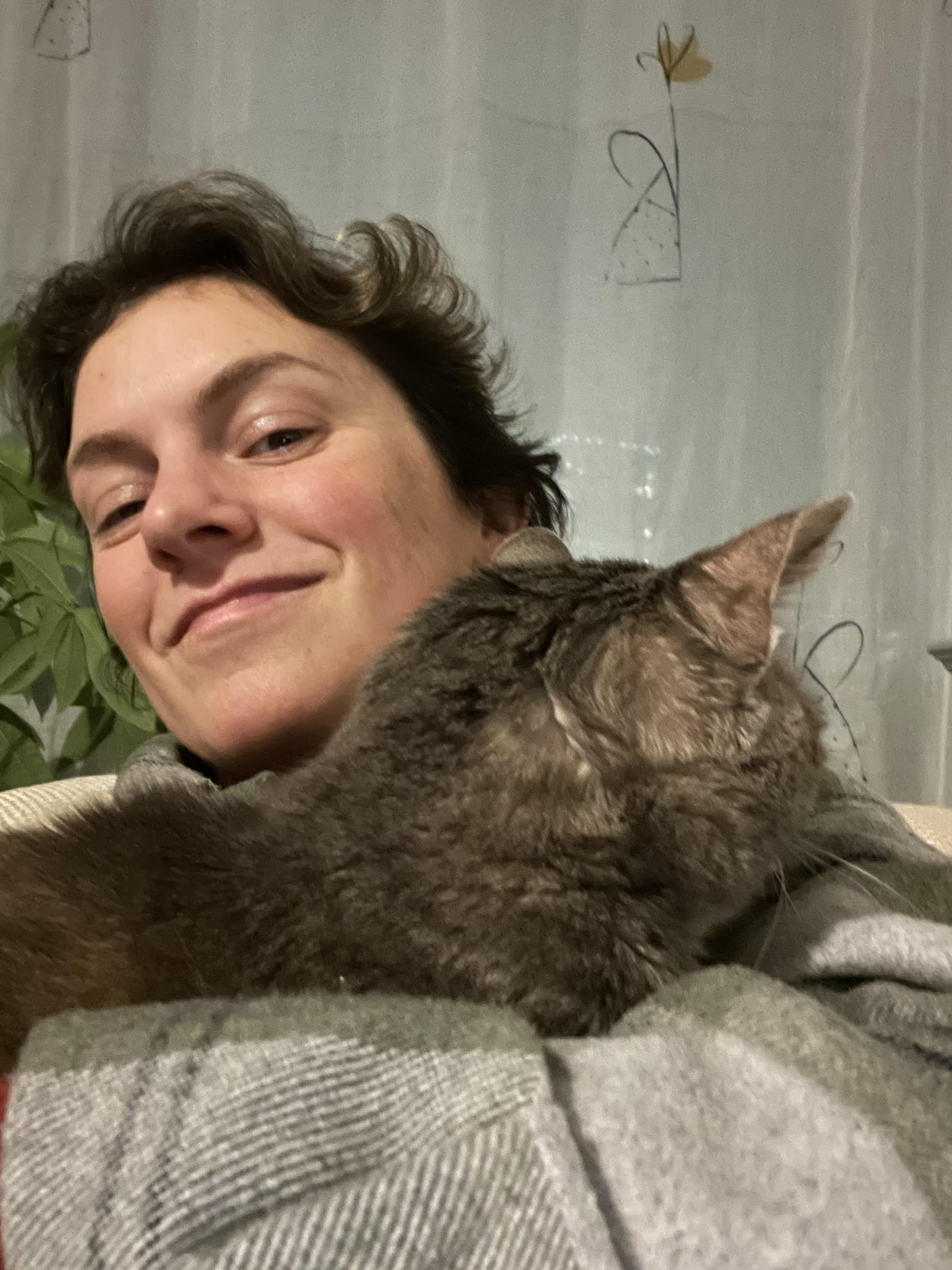 Dierenreading (30 - 45 minuten)